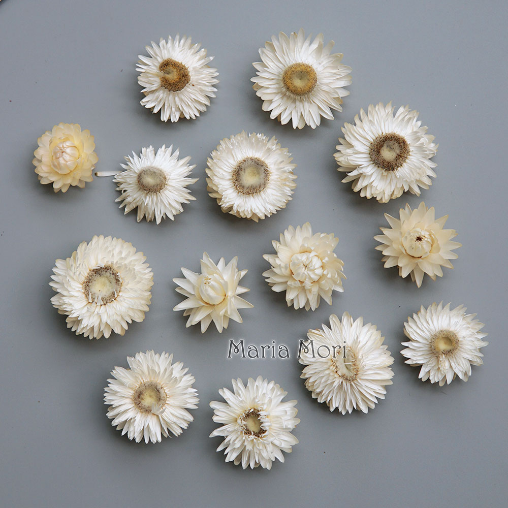 Baby Products Dropshipping - Natuurlijke Gedroogde Kleurrijke Chrysanthemum Krans Handgemaakte